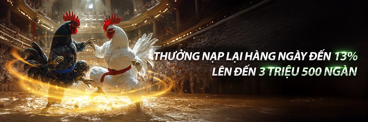 Đá Gà Trực Tuyến Hấp Dẫn tại KING79 Nhà Cái