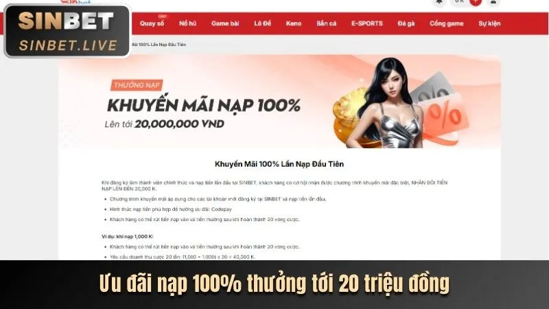 Phản hồi nhanh chóng